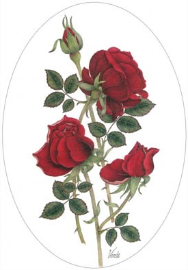 Red Rose Oval Panel, with ribbons